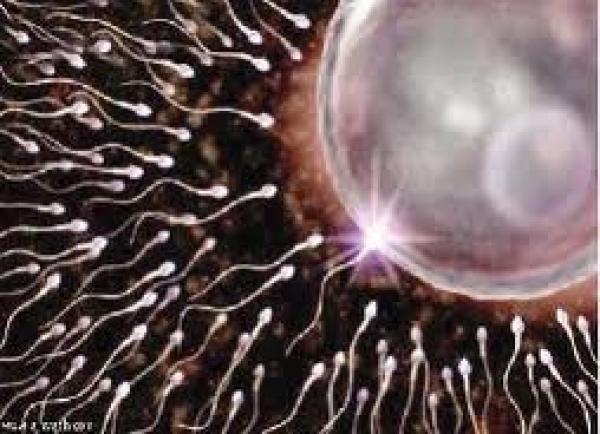 اختبار منزلي لفحص خصوبة الرجل 