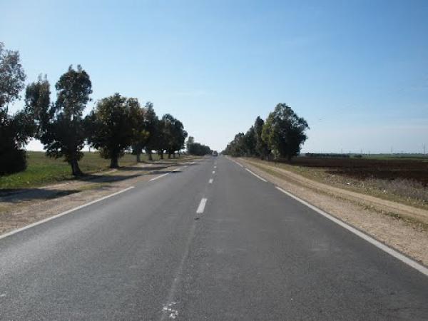 اليوسفية: قتيلان وأحد عشر جريحا في حادثة سير خطيرة