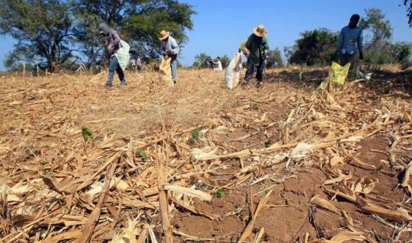 المغرب يتعرض لجفاف "كارثي" يتوقع أن يزيد تكلفة الاستيراد والدعم
