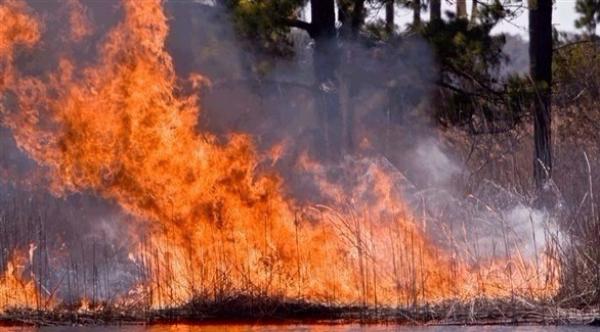 الحرائق تشل أعمال استوديوهات الأفلام في كاليفورنيا