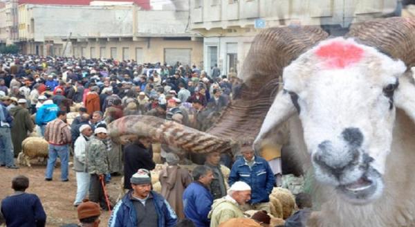 أخنوش يتوعد المضاربين في جودة لحوم أضاحي العيد بالمعاقبة