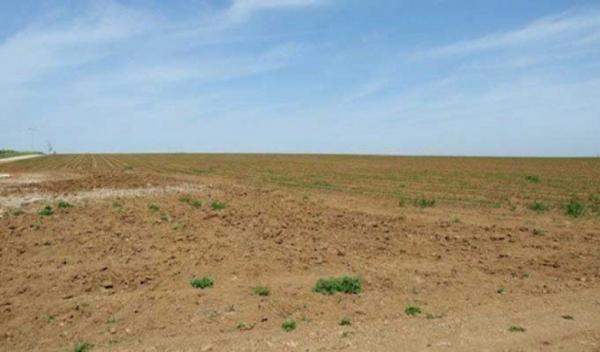 صورة من الأرشيف