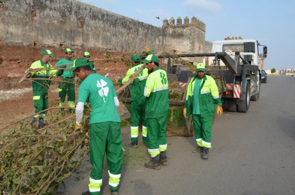 بالفيديو : أخبارنا تواكب حملة "مكومار " التحسيسية بأهمية الحفاظ على نظافة البيئة بتمارة