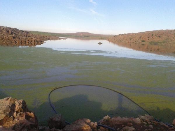 فيديو صادم... ساكنة المغرب العميق ببلدة مستشار الملك الهمة تنتظر يومين لانخفاض منسوب مياه النهر للعبور