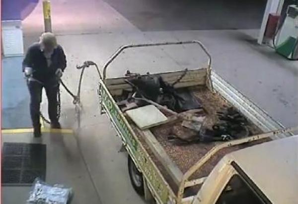 بالفيديو: لص يفشل في السرقة بطريقة مضحكة