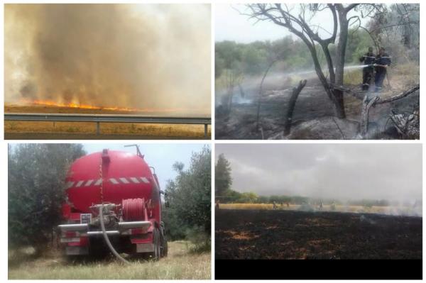 ردوا لبال مع لحرارة... فيديوهات لنيران تأكل محصول أراضي زراعية في مناطق متفرقة