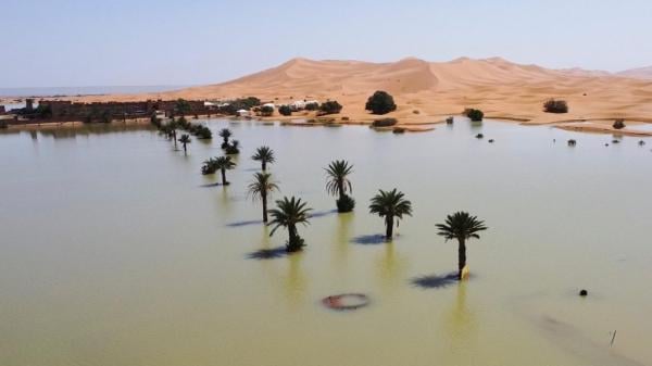 ظاهرة تاريخية في الصحراء المغربية