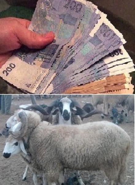 أوراق مالية مزورة بسوق أولاد افرج والضحية "كساب"