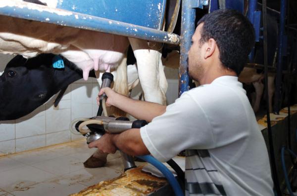 "أخنوش" يحذر : توقيف جمع الحليب من الفلاحين سيضر الأنشطة الزراعية الأخرى وسيثقلهم بالديون