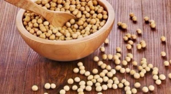فول الصويا يخفض الكولسترول وينقص الوزن
