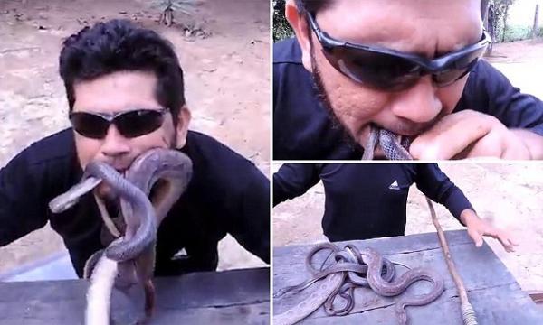بالفيديو: برازيلي يضع 4 ثعابين حية في فمه دفعة واحدة