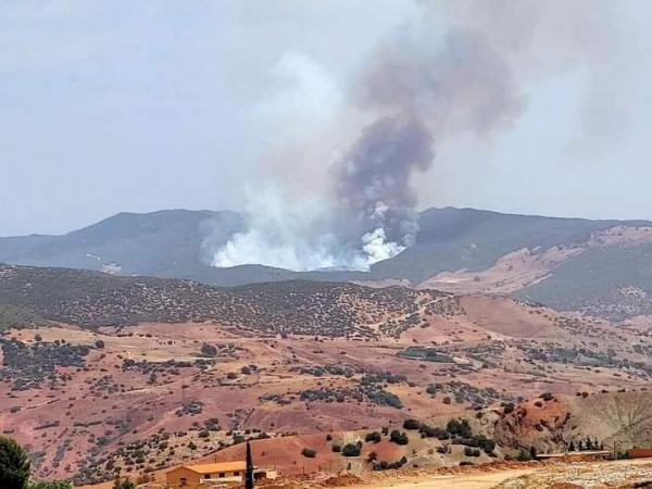 بالصور.. حريق جديد يندلع بغابة ضواحي خنيفرة وفرق الإطفاء تستنفر