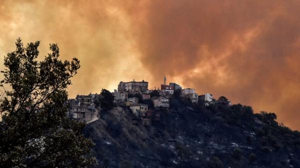 الجزائر: ارتفاع قتلى حرائق الغابات إلى 65 شخصًا بينهم عسكريون