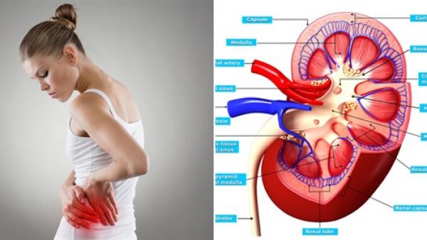 5 علامات تكشف الإصابة بأمراض الكلى..اكتشفيها