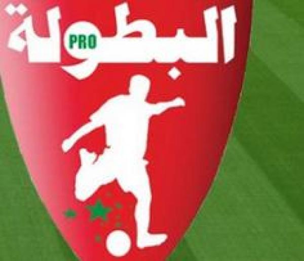 ترتيب البطولة الاحترافية (الدورة 13)