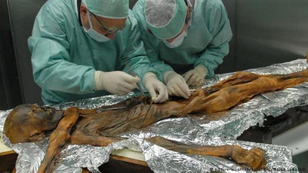 دراسة: تحليل مومياءات يشير إلى تغير سكان مصر بشكل كبير