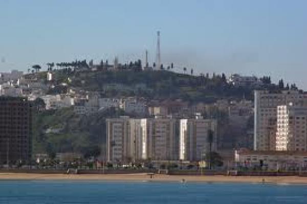 المجلس الجماعي لطنجة يتبرأ من تفويت ملك غابوي لمنعشين عقاريين 