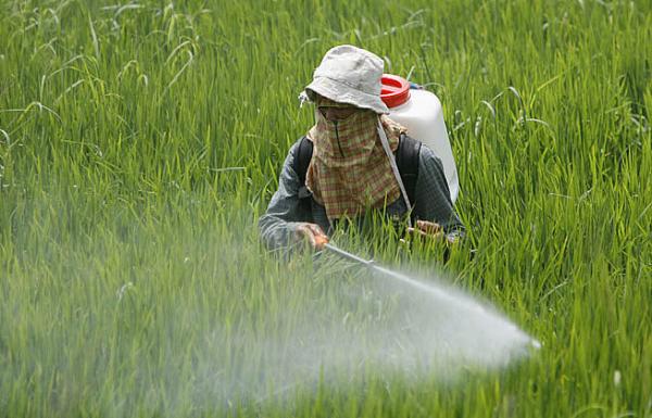 السرطان ينخر المغاربة ، والحديث عن مبيدات فلاحية في غاية الخطورة تملأ الأسواق