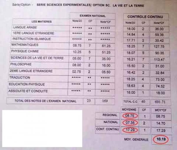 صورة من الأرشيف