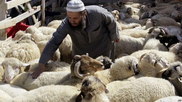 فاتح ذي الحجة غدا السبت و هذا هو تاريخ عيد الأضحى المبارك بالمغرب