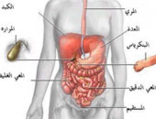 ما هى أسباب التهابات المعدة المتكررة ؟