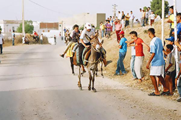 بالصور : \"رونالدو\" يخسر لقب أجمل حمار في المغرب 