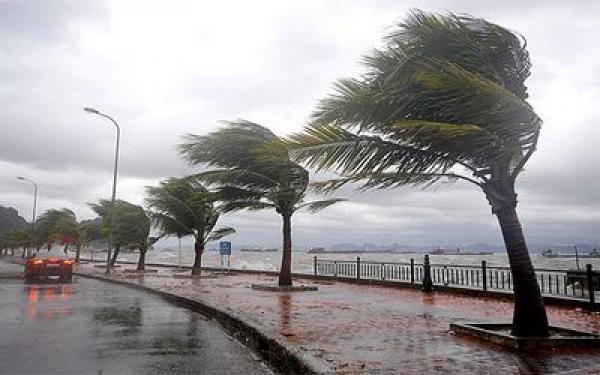 زخات عاصفية وتساقطات مطرية مهمة اليوم الجمعة وغدا السبت بعدد من مناطق المملكة