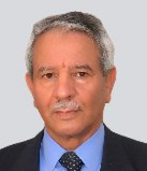 الرسول الشاهد المبشر النذير الداعي إلى الهداية والحق