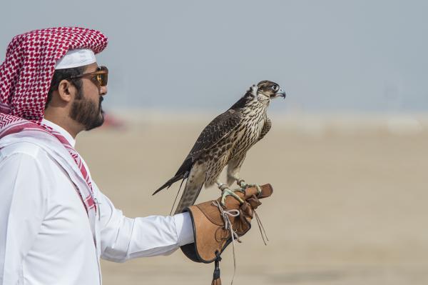 قطر تخرج عن صمتها حول "زيارة" أمراء للبوليساريو وهذا ما قاله سفيرها بالرباط