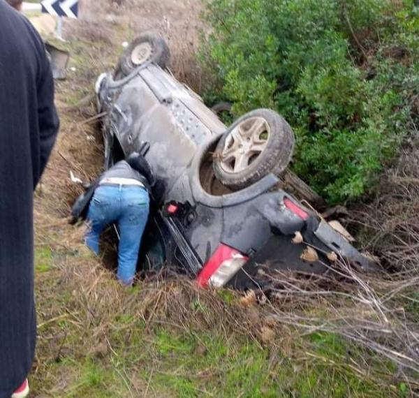 ذئب مهدد بالانقراض يتسبب في حادثة خطيرة نواحي وزان (صور)