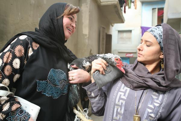 قرصنة فيلم "إلهام شاهين" مشارك بمهرجان خريبكة الإفريقي