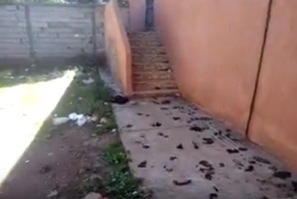 فيديو مقزز...دار الطالب دشنها عامل أزيلال تتحول إلى مراحيض وخراب ونشطاء فيسبوكيون غاضبون