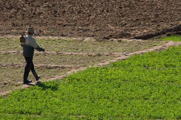 منح سلفات للفلاحين ودعم سعر الشعير لمواجهة آثار الجفاف  