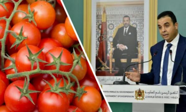 الحكومة: سعر الطماطم يبلغ ما بين درهمين و4 دراهم في السوق المغربية