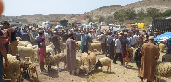 بالوثيقة:  "أسواق أسبوعية" تعود لاستئناف أنشطتها "التجارية" بداية من الأحد المقبل