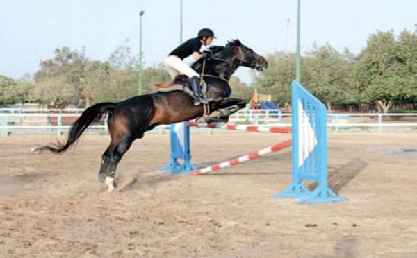 صور ارشيفية