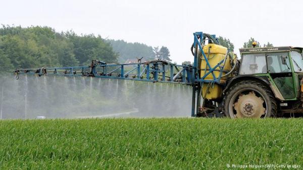 المبيدات الزراعية المغشوشة تدمر الإنسان والتربة