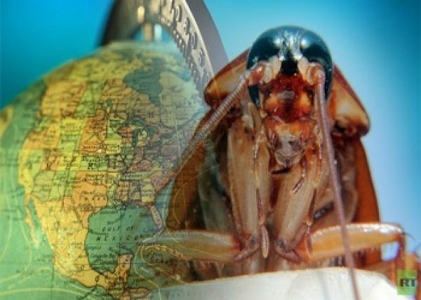 العلماء يكتشفون وطن الصراصير الأول