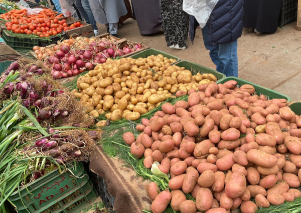 بالأرقام.. هذا هو السبب الرئيسي لارتفاع أسعار البطاطس في الاسواق المغربية والوضع قد يدوم طويلا