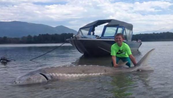 طفل أمريكي يصطاد سمكة ضخمة بوزن 272 كيلوجرامًا