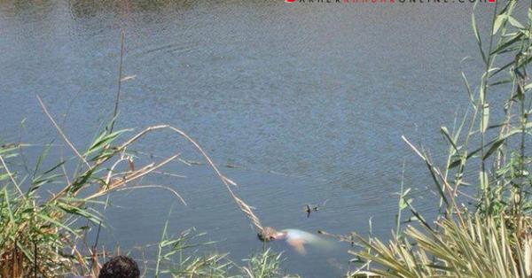 جثة سبعينية طفت فوق المياه تستنفر السلطات المحلية والدرك الملكي