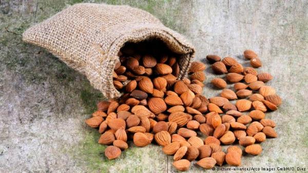 بذور المشمش تهدد حياتك فاجتنبها