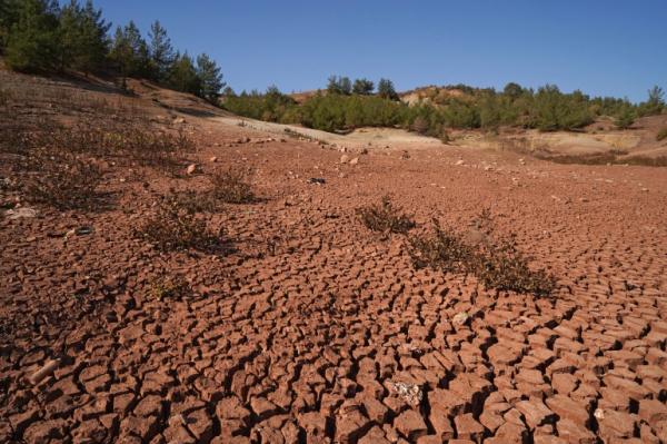 بعد شح التساقطات.. هل تحلية مياه البحر خطوة كافية لتوفير مياه الشرب للمغاربة؟ خبير دولي يجيب