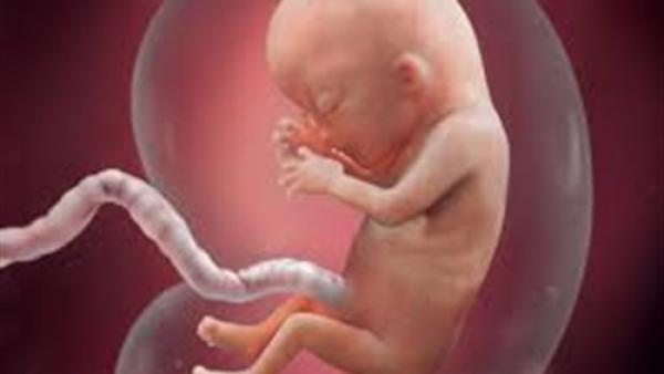 3 عناصر غذائية لنمو الجنين وحمايته من التشوهات الخلقية