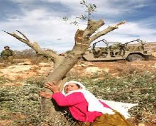 يوم الأرض  بعيون مقدونية 