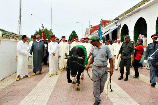 سخط عارم بسبب صورة تظهر وفدا رسميا يتقدمه ممثل " الملك " يقدم ثور " قربان " لولي بالجديدة