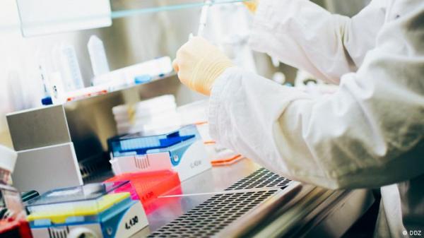 تقنية زرع جديدة تفتح آمال مقاومة أفضل لمرض السكري