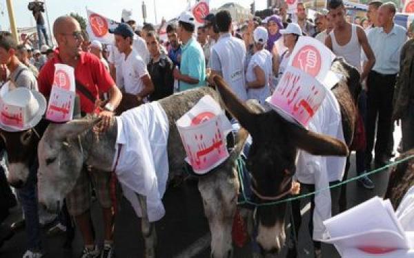 بنكيران للرئيس التونسي : عندنا في المغرب المعارضة لم تكتف بإنزال الناس للشارع للتظاهر بل أنزلوا حتى الحمير المسكينة