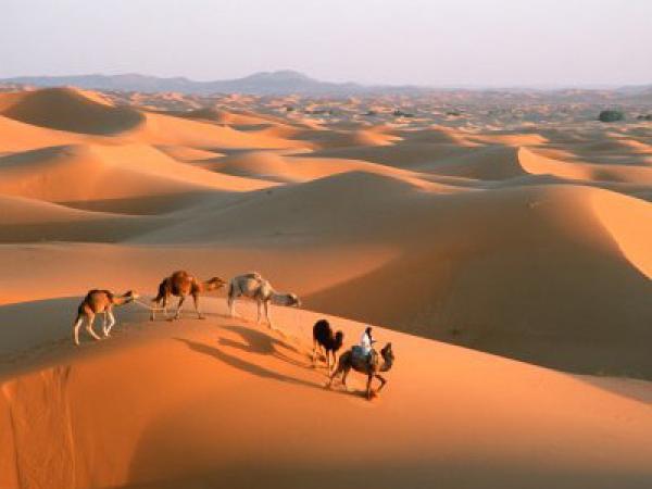 أبركرومبي: على المغرب أن يراهن على تعزيز قدراته في مجال الطيران وتأهيل موارده البشرية