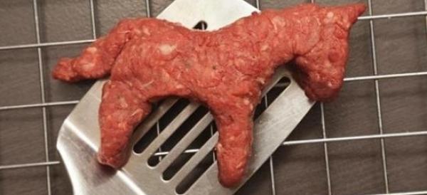 مطاعم مصرية تقدم لحوم حمير لزبنائها